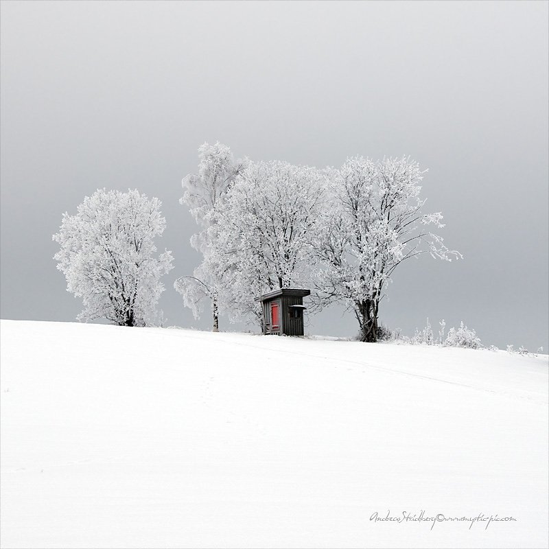 Hoarfrost-100115-058-square.jpg