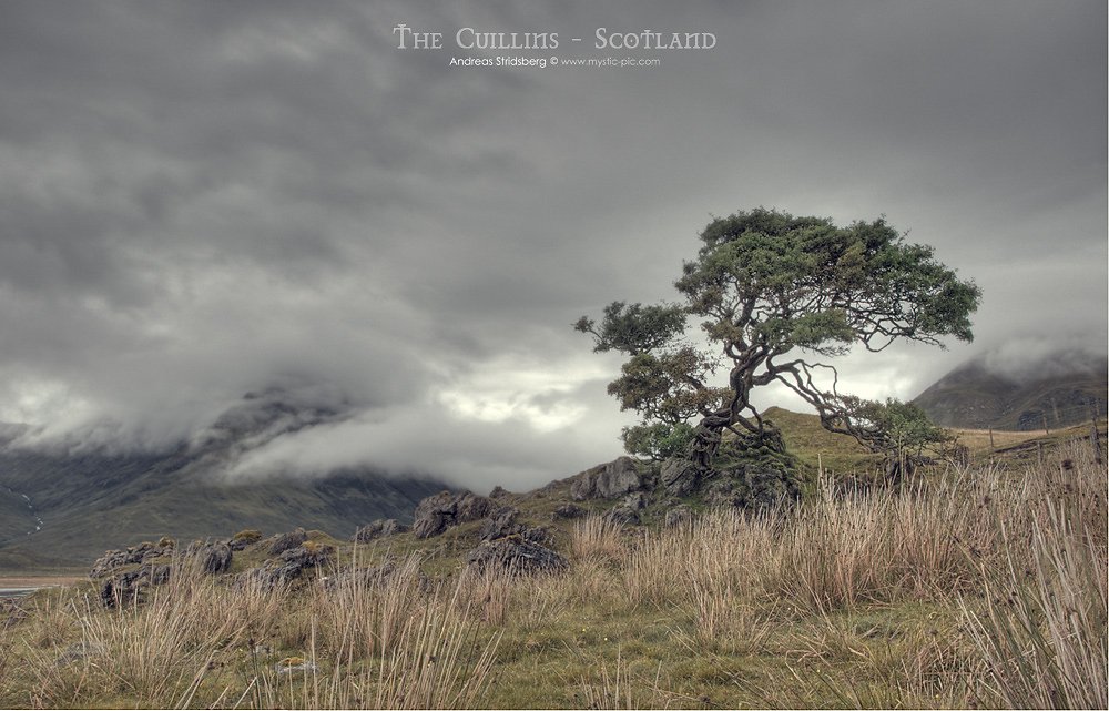 Scotland-D300-080801-831.jpg